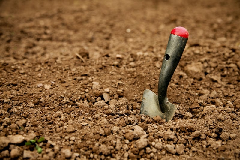 Fairy Shovels